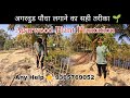 अगरवुड पौधा लगाने का सही तरीका || Agarwood Plant plantation By BJB NURSERY