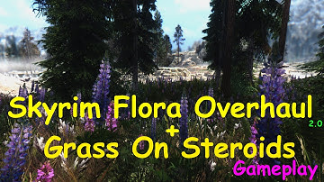 Skyrim Flora Overhaul 2.0 + Grass On Steroids Gameplay