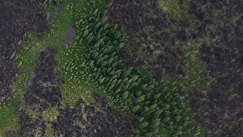 NASA | Mapping Alaska