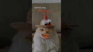 Shorts -Boy007 Video