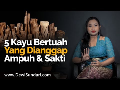 Video: Adakah batang kayu yang hodoh bagus?