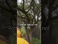Massage tables in the Latin forbidden forest? 🇪🇨 #travel #vlog #ecuador