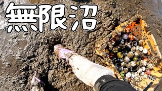 30年蓄積したヘドロからボールを全回収せよ【ゴルフ場の池水抜き#5】