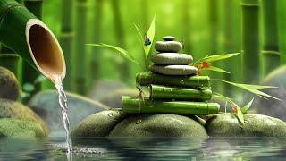 Bamboo, Relaxing Music, Meditation Music, Nature Sounds  Relaxing Piano Music & Water Sounds 24/7