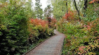 THE BEST PLACE TO EXERCISE|RICH OF NATURAL ANTI-OXIDANTS|