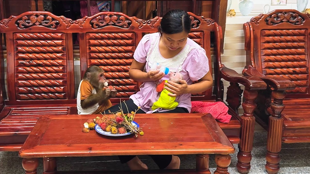 Heartwarming! CUTIS’ Family Gathers for a Warm Meal During the Storm