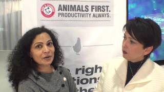 Research Compares Aviator for Egg Production Efficiency, Egg Parameters