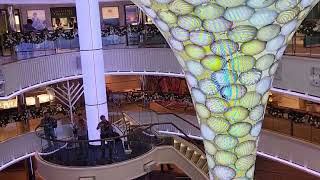 2022 11 30 21 10 59 Violins on The Carnival Panorama. #carnivalpanorama