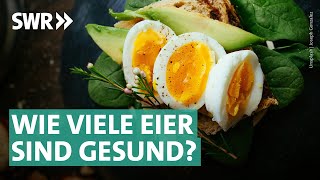 Eier: bewusster Genuss und nachhaltige Geflügelhaltung | Marktcheck SWR