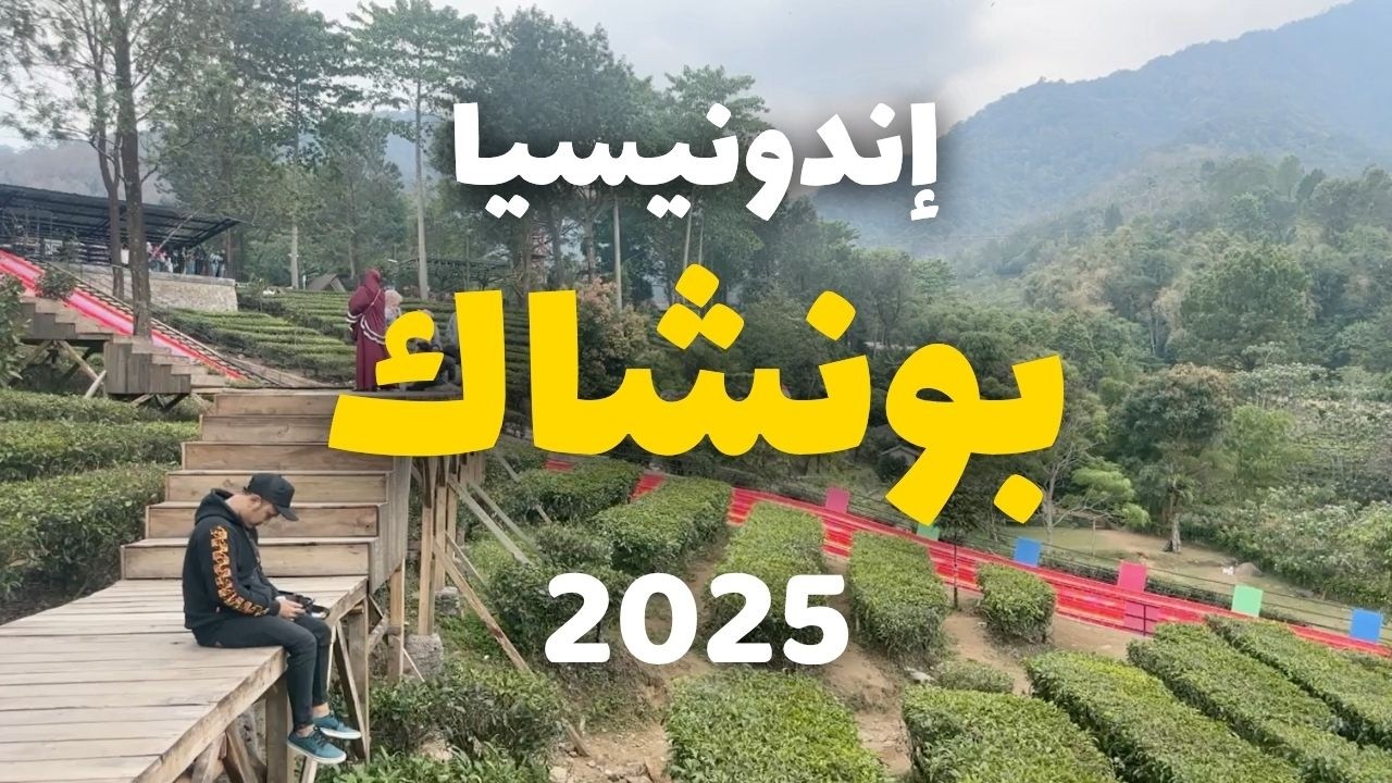 بونشاك إندونيسيا | أفضل 5 برامج سياحية، الطقس، الأسعار، 9 أسئلة ونصائح