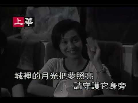 许美静 城里的月光 1995
