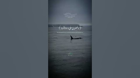 الشيخ سعد الغامدي تلاوة خاشعة من سورة إبراهيم