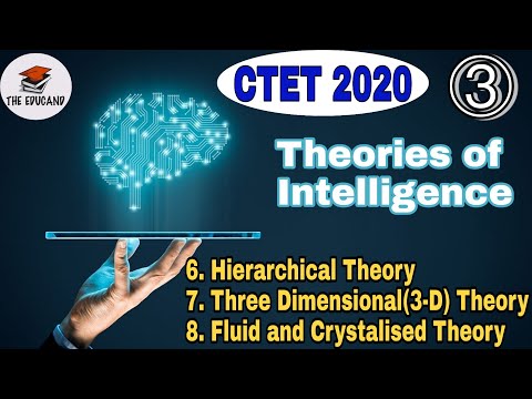 Part 3 | Theories of Intelligence | Hierarchical Theory | SI Model | Fluid and Crystalized Theory