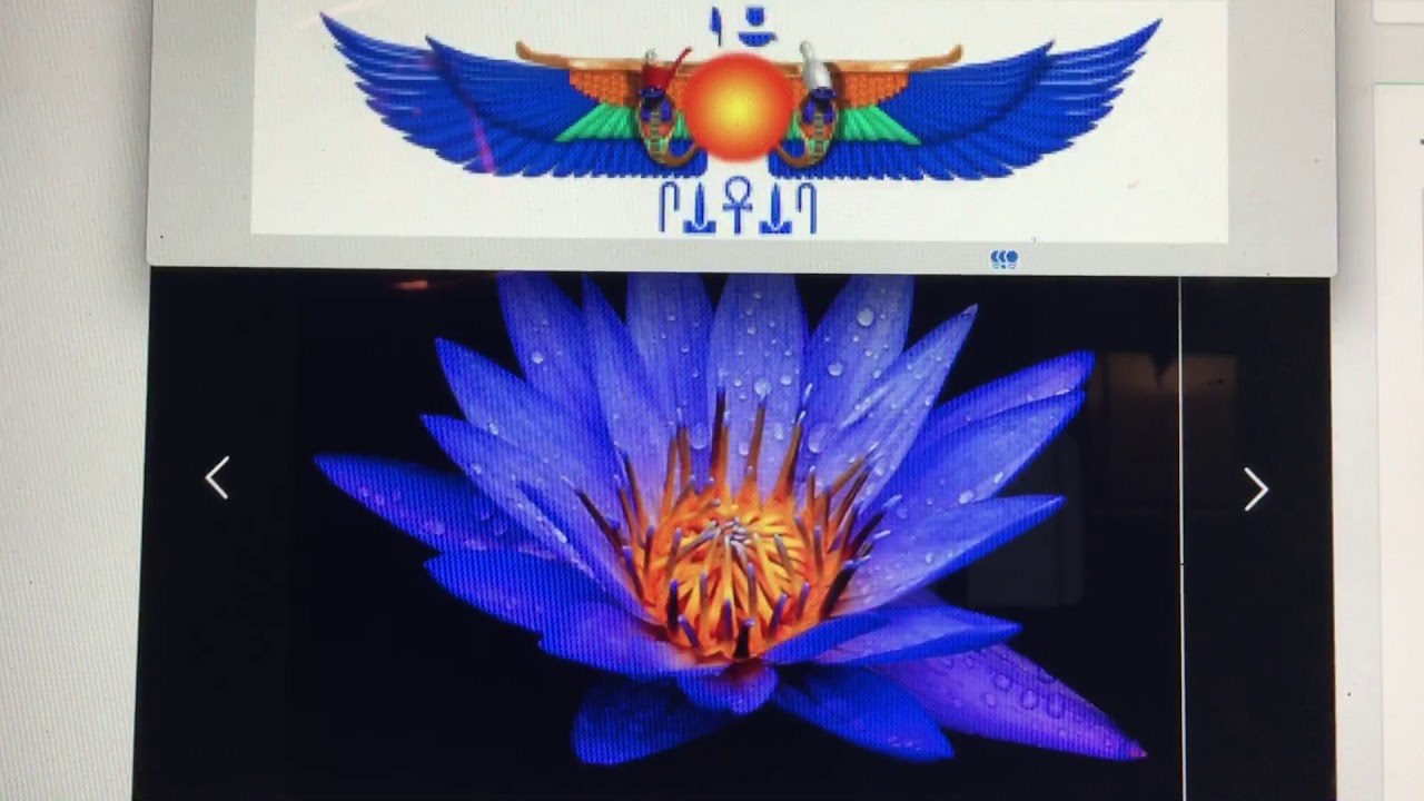 JOHN ELLIS INTERVIEW. Benefits Of John Ellis Water, aka "Pyramid Water."