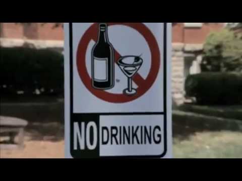 Van Wilder Freshman Year Trailer