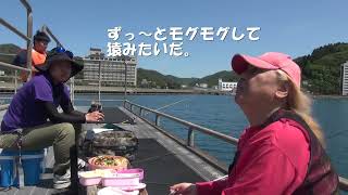 今日も釣り日和でしたんじゃぁ！ヽ(^o^)丿