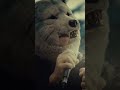 MAN WITH A MISSION | ONE | OUT NOW