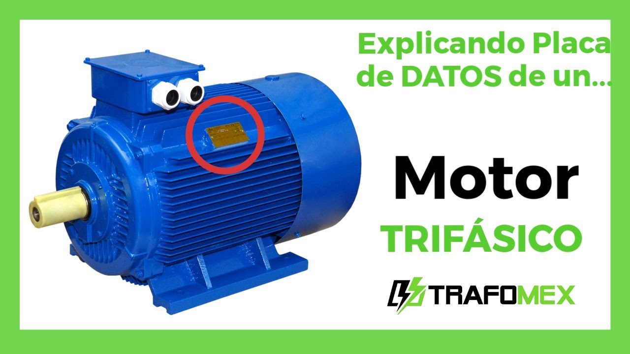 trip motor significado