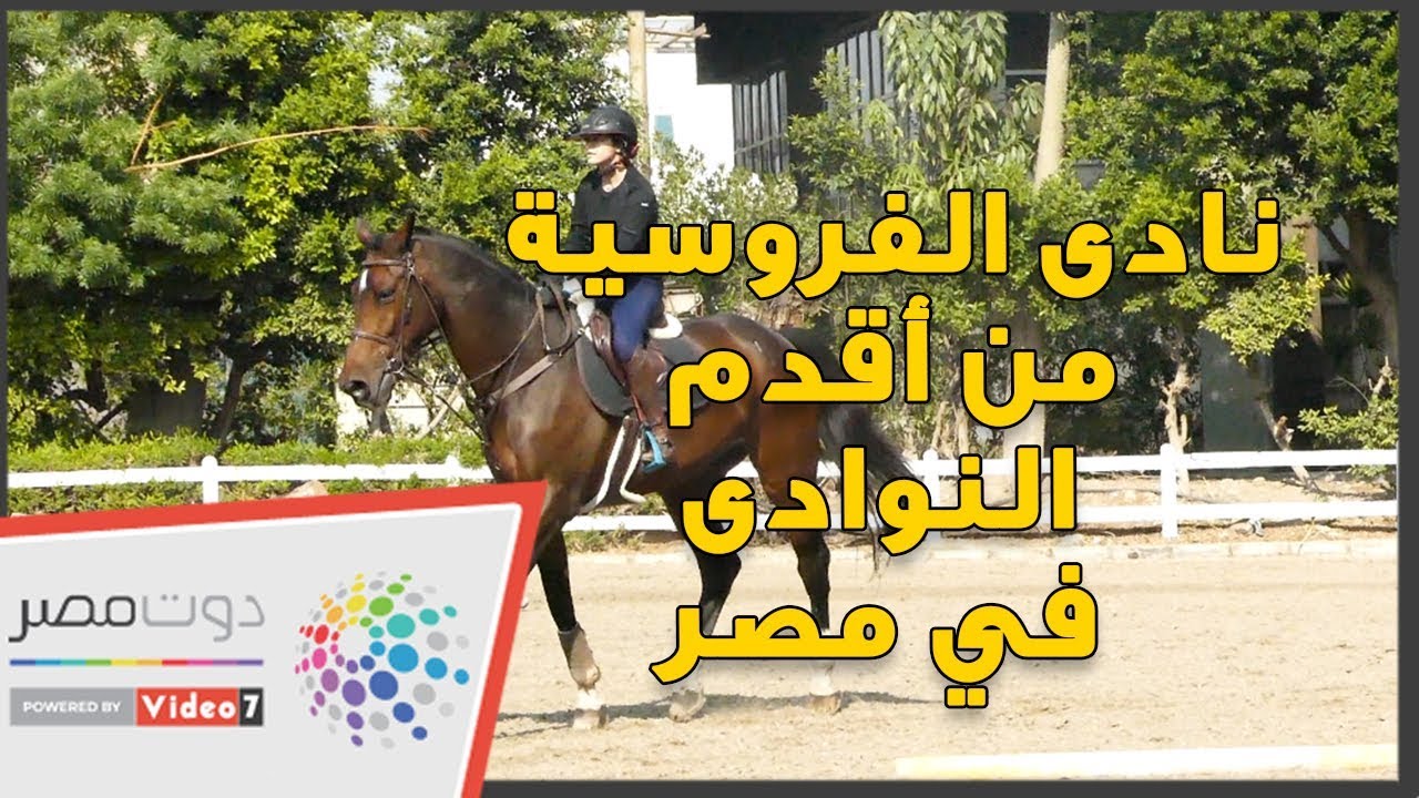 أقدم نادي للفروسية في مصر.. أحمد مظهر ويوسف السباعى أهم فرسانه