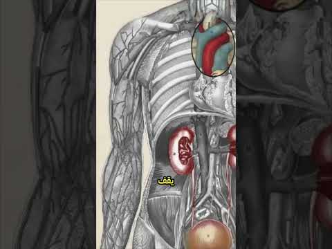 تجربه مريض الفشل الكلوي الأعراض المروعه الدحيح 