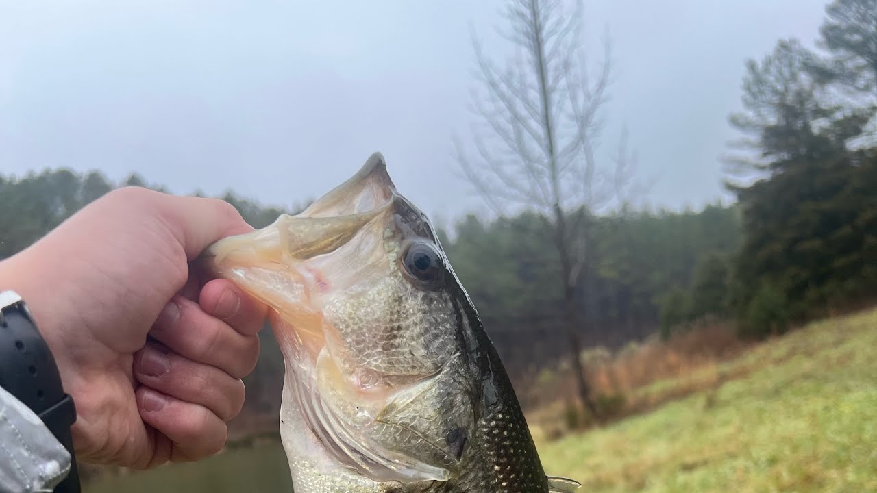 Winter bass fishing