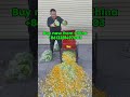 Compact Crusher Machine – Feed, Veggies & Waste in One #china #farming #beltfeeder #methodfeeder
