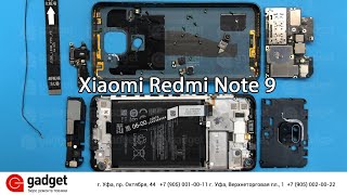 Разборка Xiaomi Redmi Note 9 / Xiaomi Redmi Note 9 Teardown Disassembly