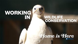 Working in Wildlife Conservation | PBS HAWAIʻI