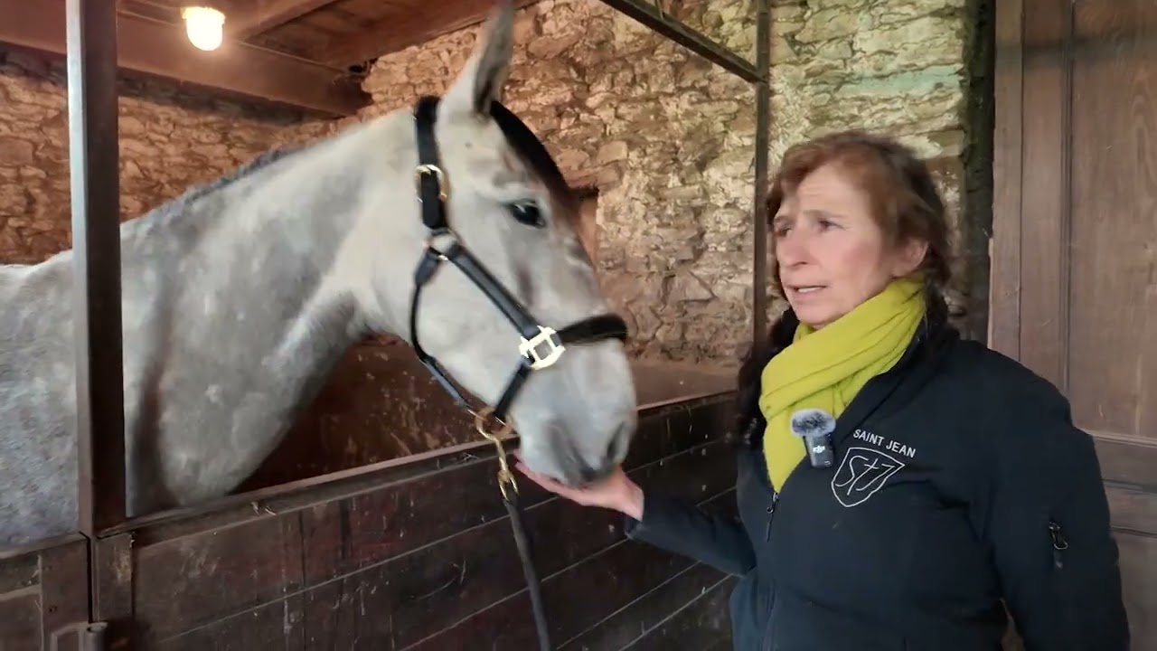 Questa de St Jean (ENG)