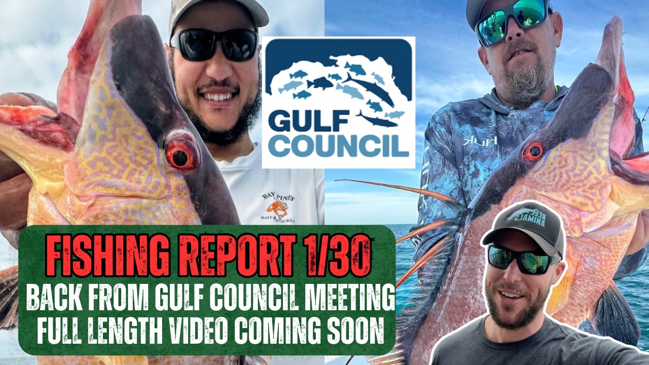 Отчет о рыбалке от 30.01.2026 | Мы вернулись с отчета Совета по рыболовству в заливе! Видео скоро...