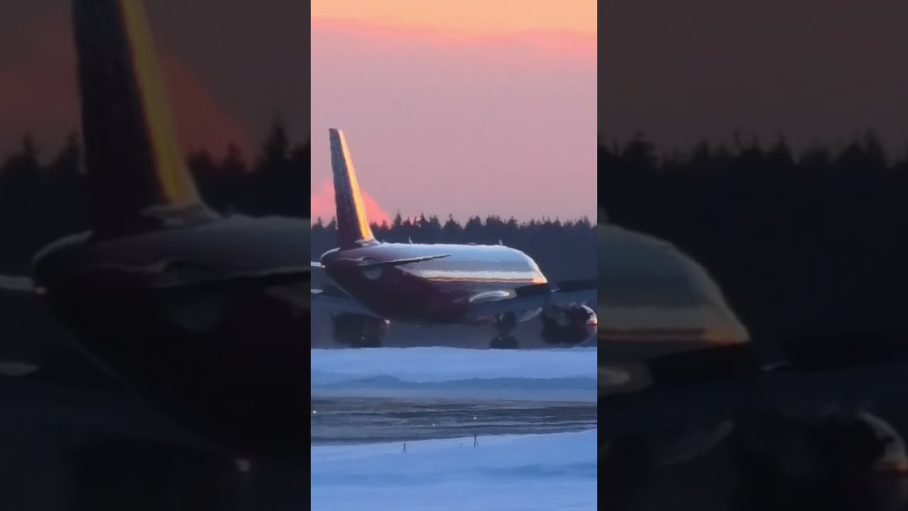 AIRBUS A319-100 РОССИЯ