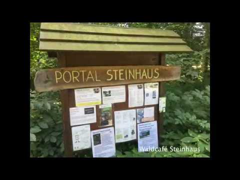 MTB Tour zum Steinhaus im Königsforst