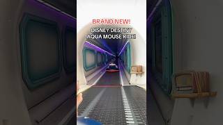 New Disney Destiny Aqua Mouse Ride Pov Mickey & Minnie In Sing A Silly Song Parks
