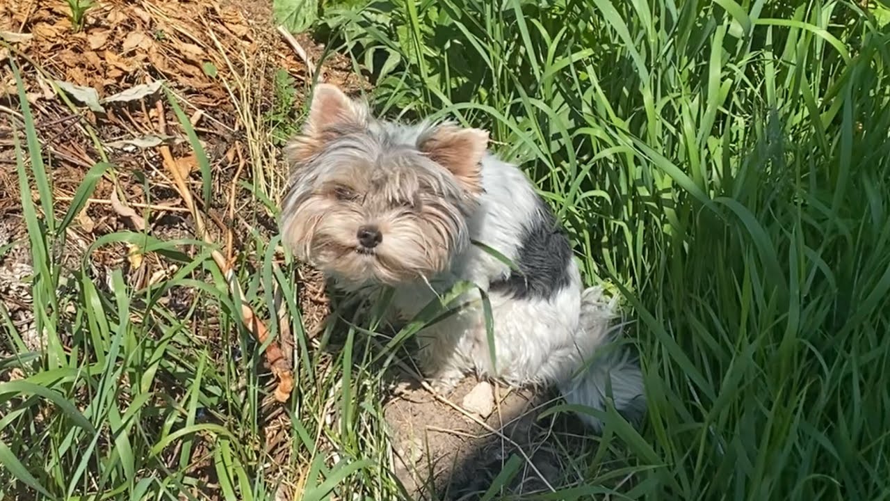 Надо почаще смотреть на себя / Палочка выручалочка / Мой Новый стол для ...