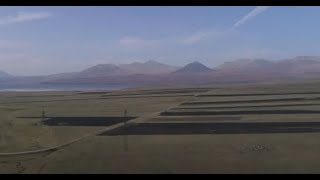 Atinati Artist In Focus Vakho Bughadze