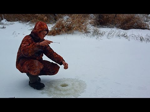 ловля на зимние жерлицы 2016