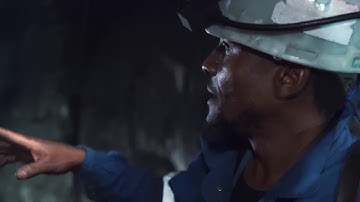 Favorsea - PDS System