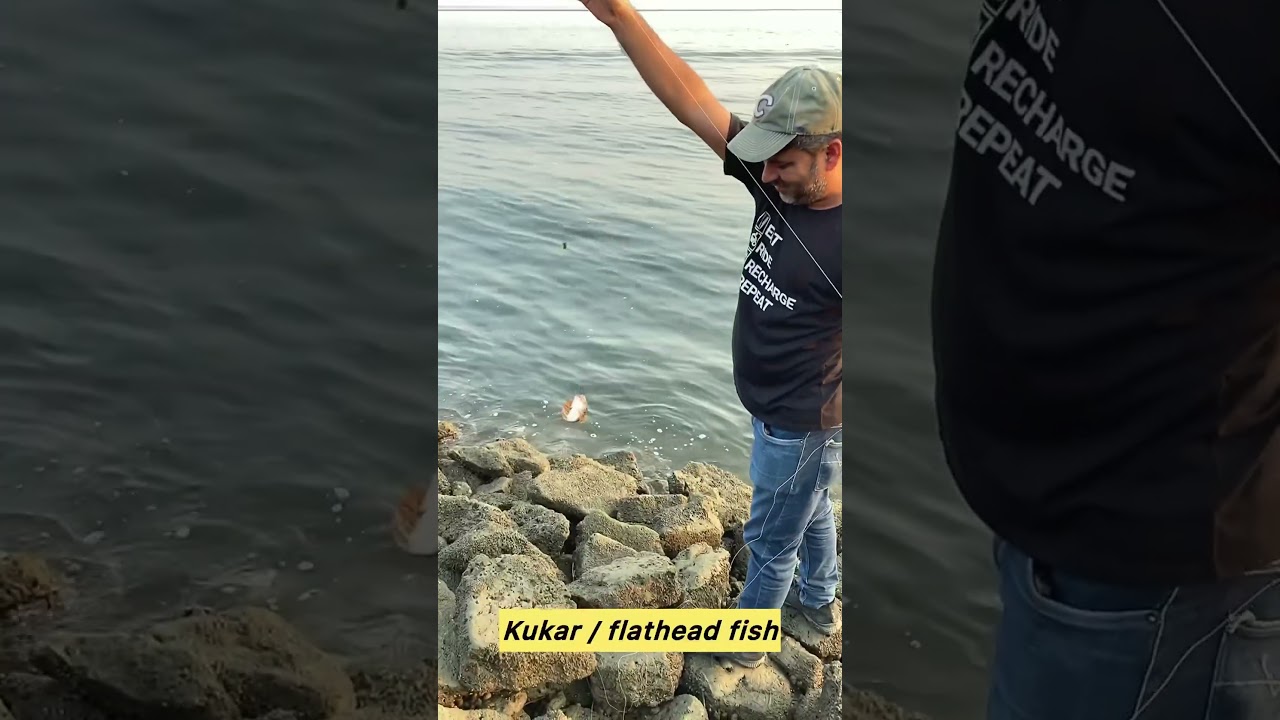 Kukkar Machli ka bacha lag gaya Do Darya Karachi se | Flathead fish