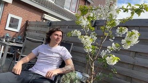 Ik Had Beter Naar Me Agenda Moeten Kijken Kleine Momenten#105