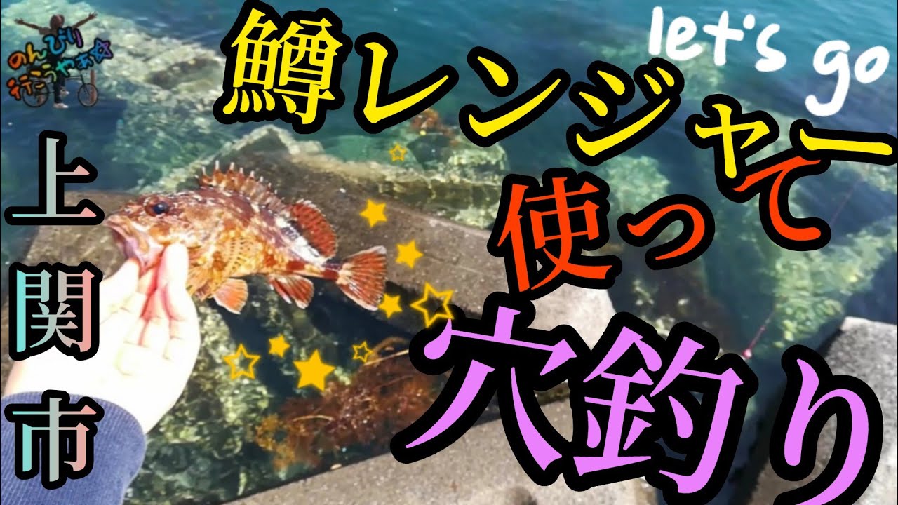 〚上関町〛みんな大好き鱒レンジャーに自作のブラクリ使って穴釣りに😀カサゴマンション見つけました✨