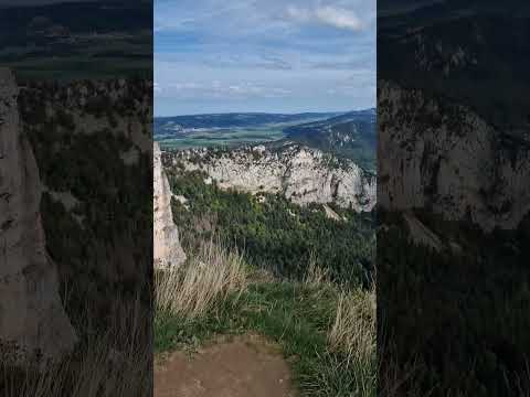 Steinböcke beim Creux