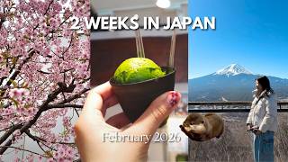 First Time in Japan: Tokyo, Mount Fuji and Snowboarding!