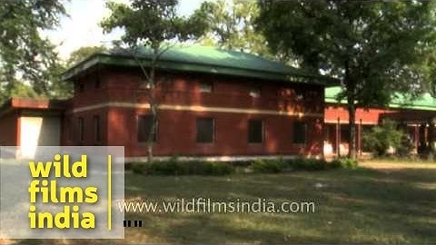 Central Braille Press, Dehradun