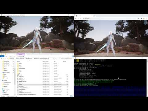 2. Pixel Streaming
