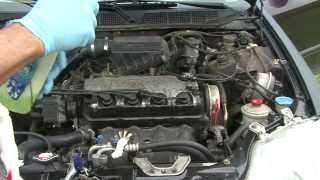 How to find oil leaks step one clean the motor