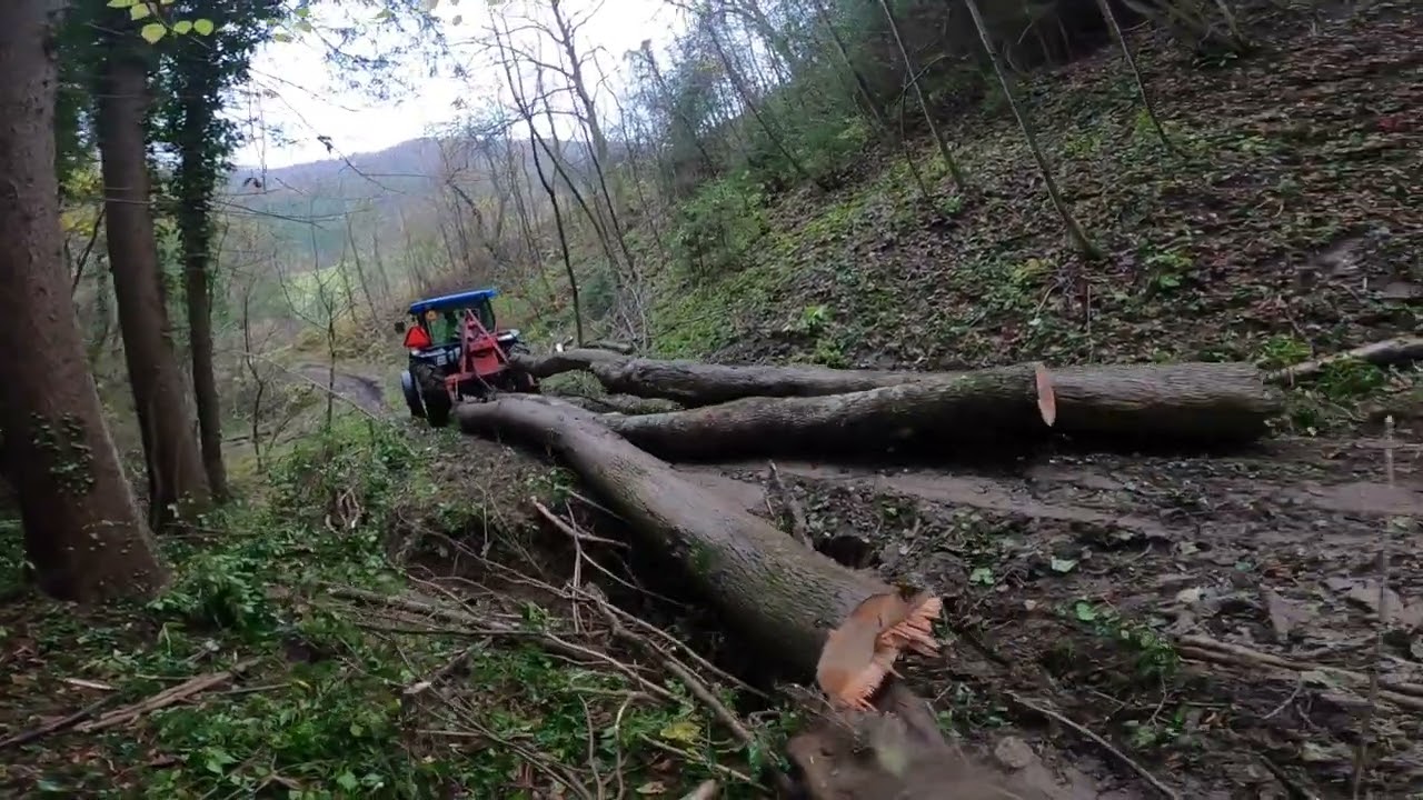 Spravilo lesa/ Work in forest/ New Holland