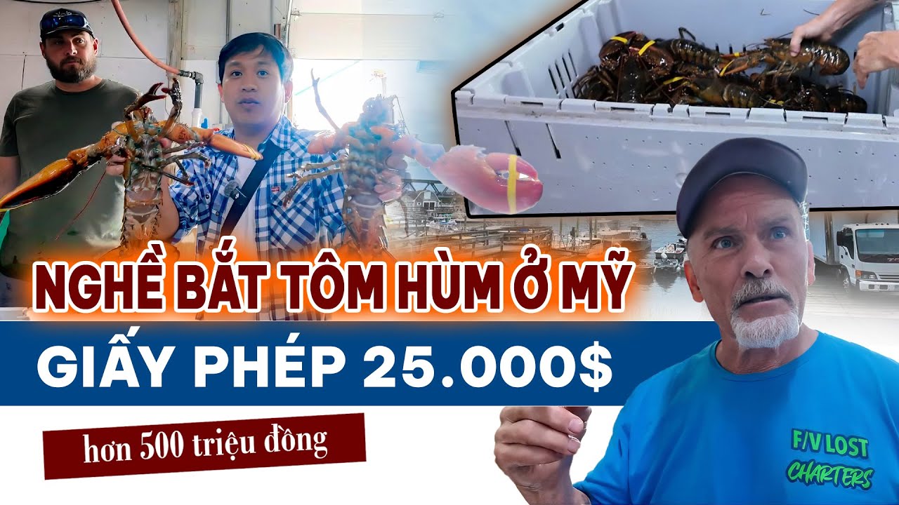 BÍ MẬT nghề đánh bắt TÔM HÙM Ở MỸ và thưởng thức đặc sản của biển rẻ hơn tô phở Việt Nam ở Mỹ