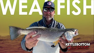 RHODE ISLAND FISHING (Weakfish / Squeteague Fishing | Narragansett Bay)
