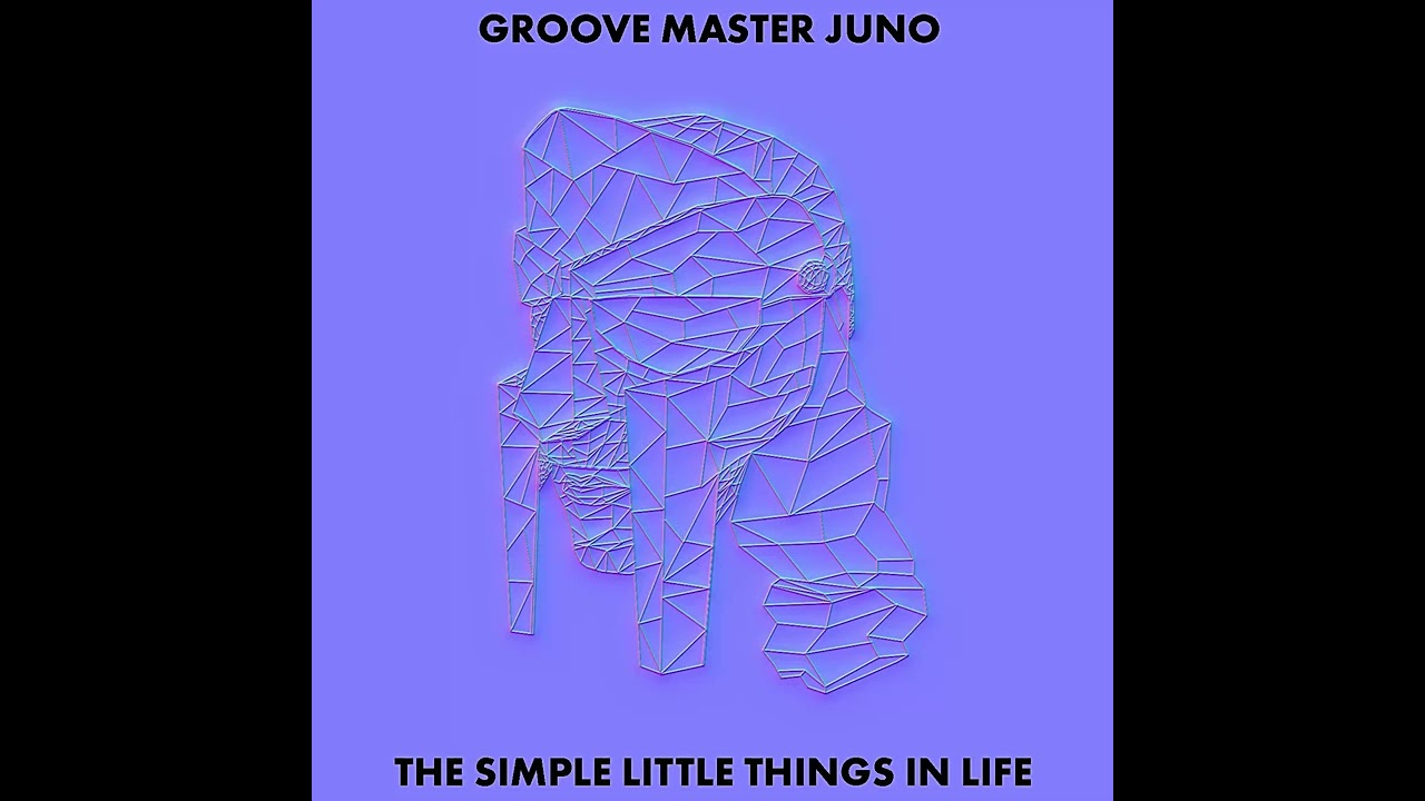 Groove Master Juno - The Simple Things In Life