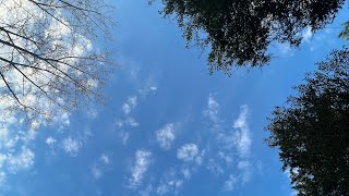 12 Stout Street-Sped Up